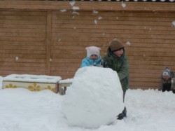 �����������