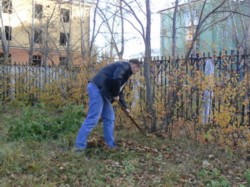 �����������