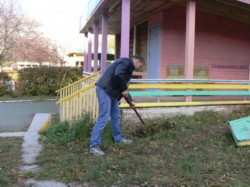 �����������