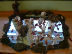 �����������